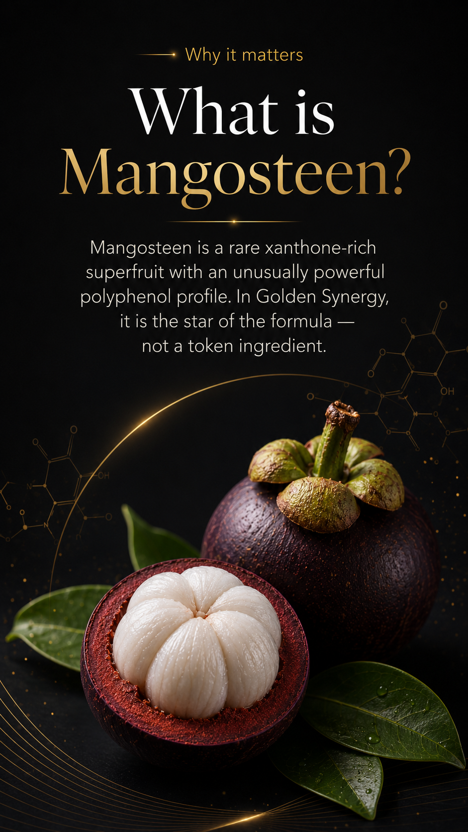 What is Mangosteen — a rare xanthone-rich superfruit, the foundation of the Golden Synergy formula